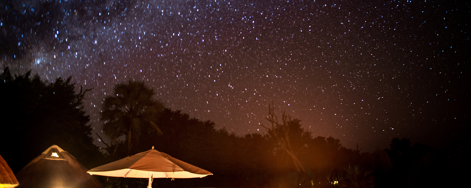 Photo by: Emma Hill - Camp Okavango, Botswana