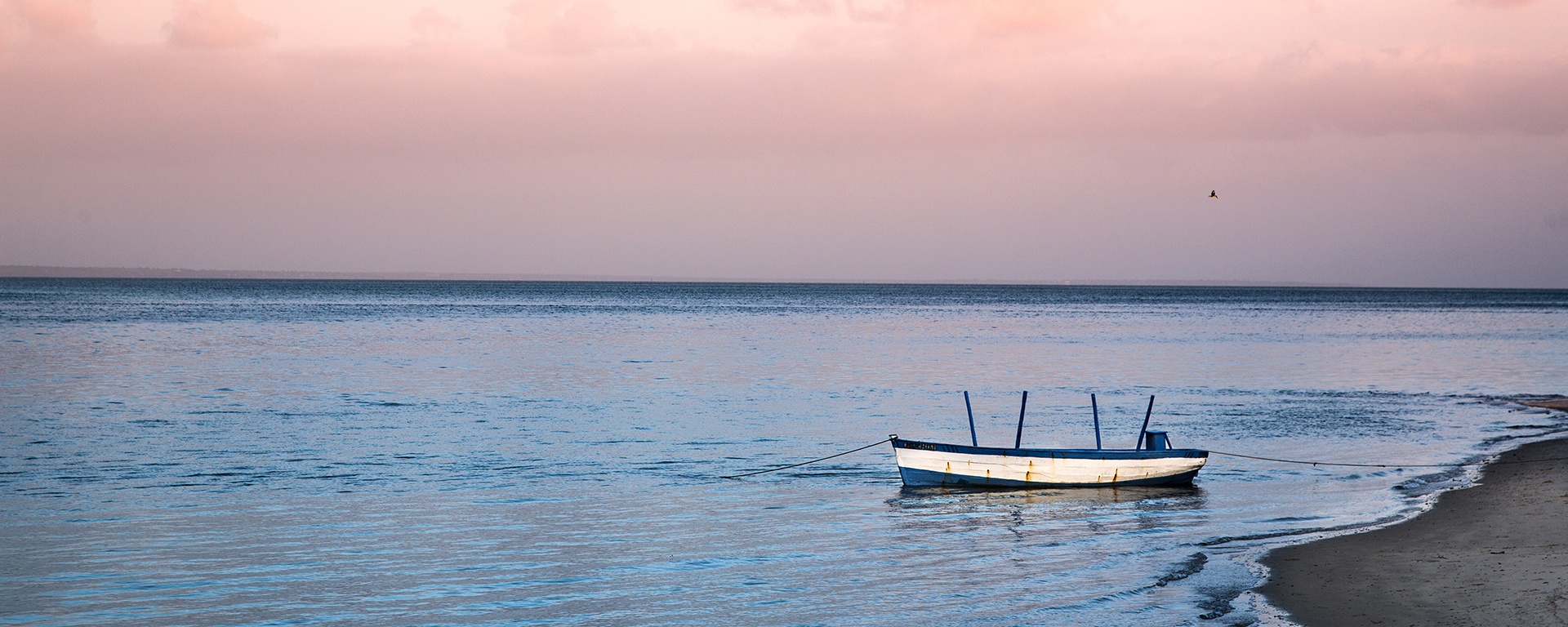 Photo by: Kieran Crowley - Dugong Lodge, Mozambique