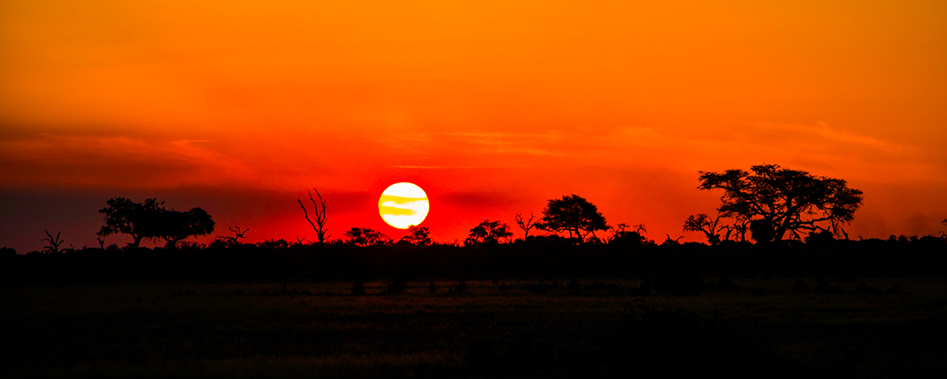 Photo by: Avi and Irit Shachrai - Botswana
