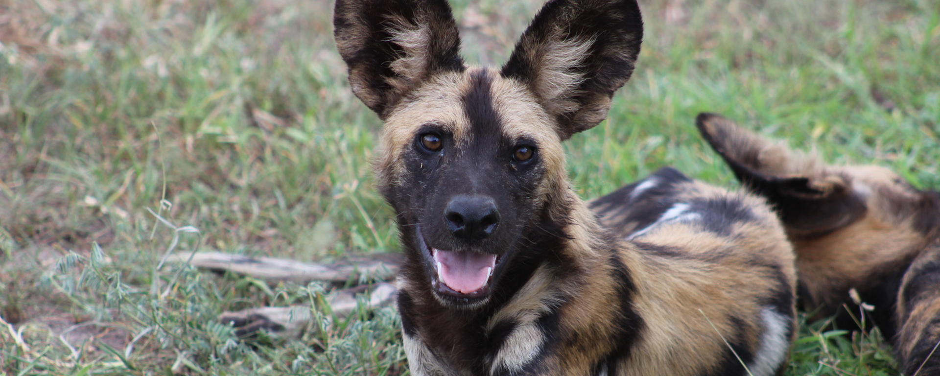 Photo by: Lauren Johansson - Tanzania