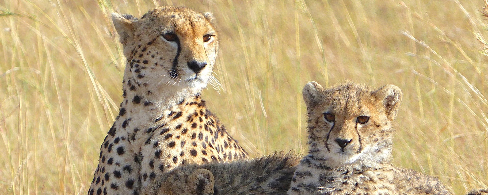 Photo by: Lea Rekow - Masia Mara, Kenya
