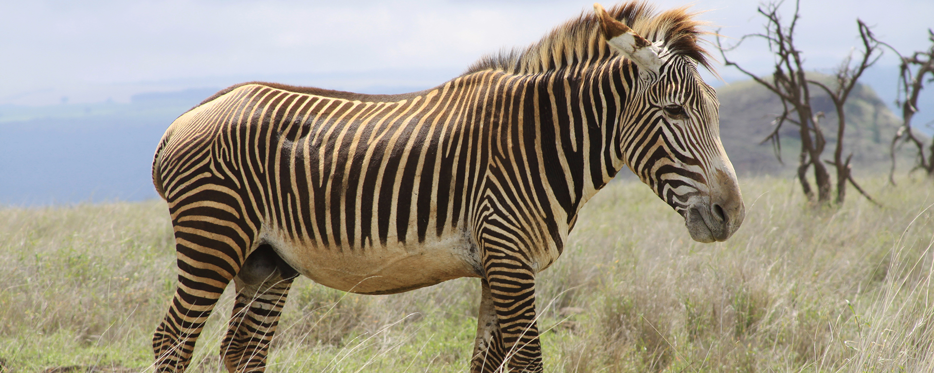 Photo by: Angela Aschmann - Lewa Safari Camp, Samburu, Kenya