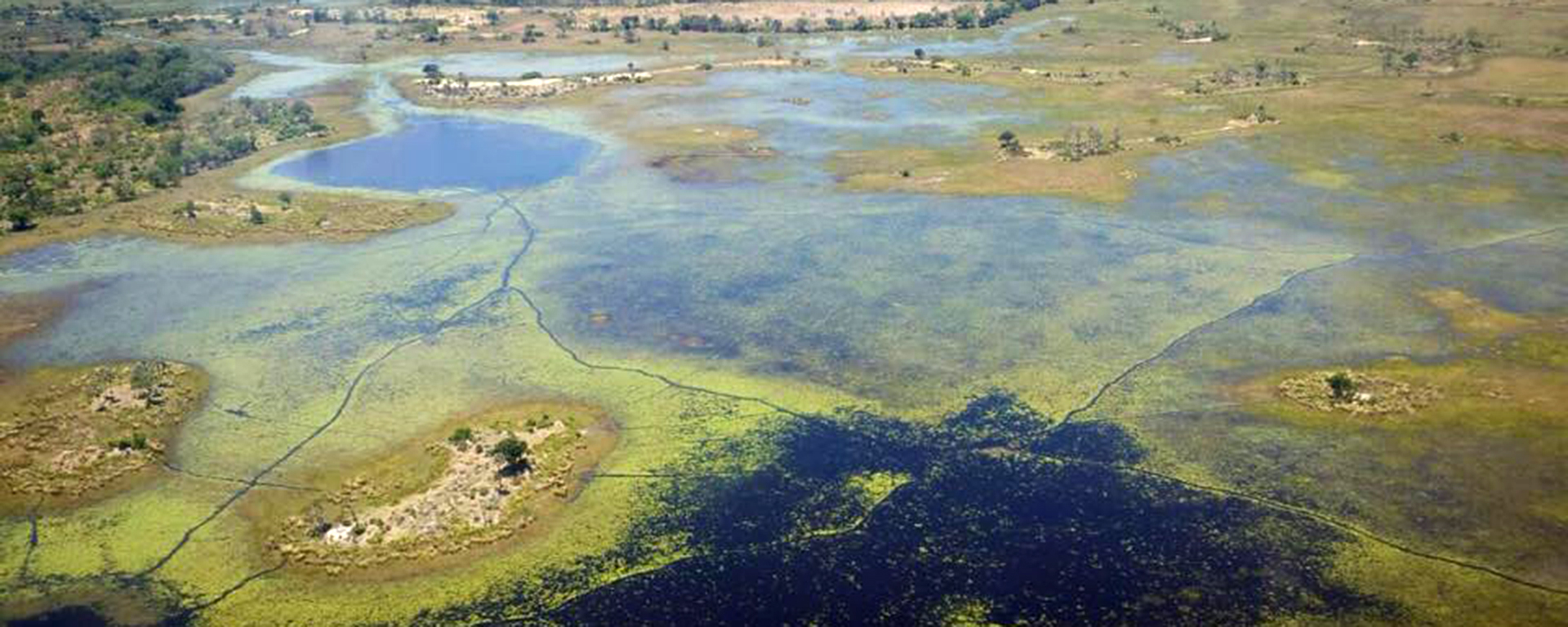 Photo by: Lorna Symons, Okavango Delta, Botswana
