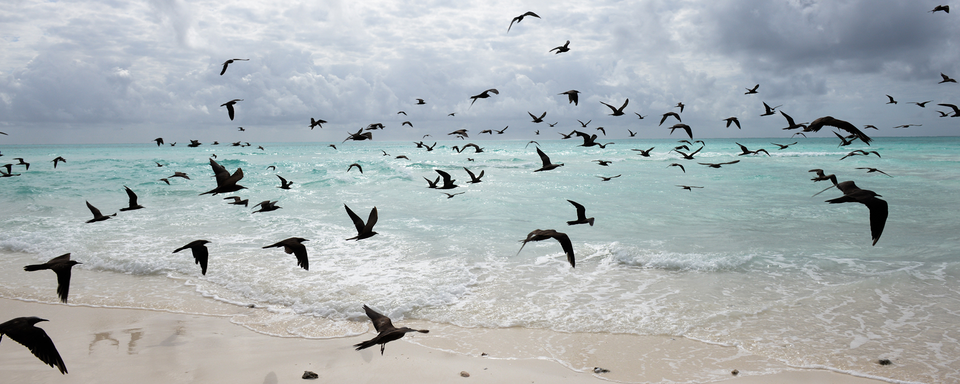 Photo by: Emma Hill - Mnemba Island, Zanzibar