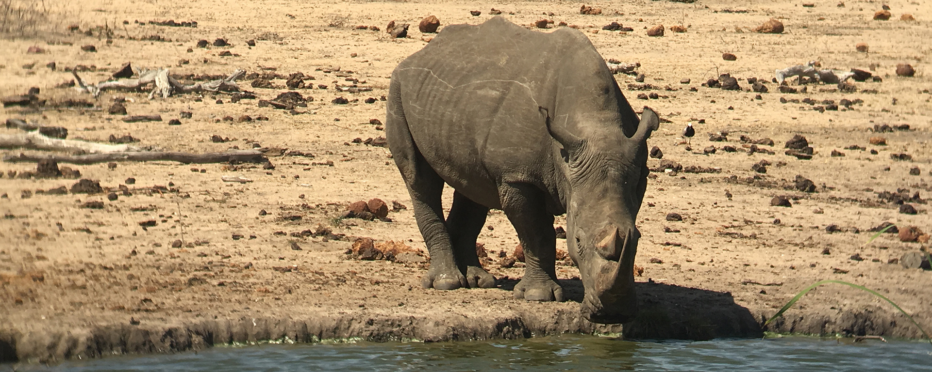 Photo by: Nadia Coombe - Sabi Sands Reserve, Kruger National Park, South Africa