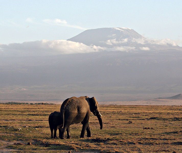 Seeing elephants at Amboseli with Mount Kilimanjaro in the background was such an iconic safari moment!