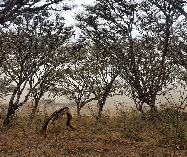 On the rim of Ngorongoro Crater & the Crater floor where the morning mist has yet to rise.