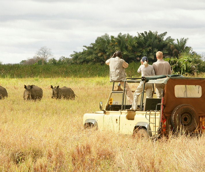 Classic game viewing at Elsa's Kopje followed by a romantic dinner for two in the golden savannah.