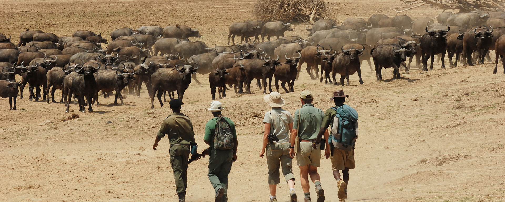 A walking safari is great for solos because you're automatically part of a like-minded group of people.