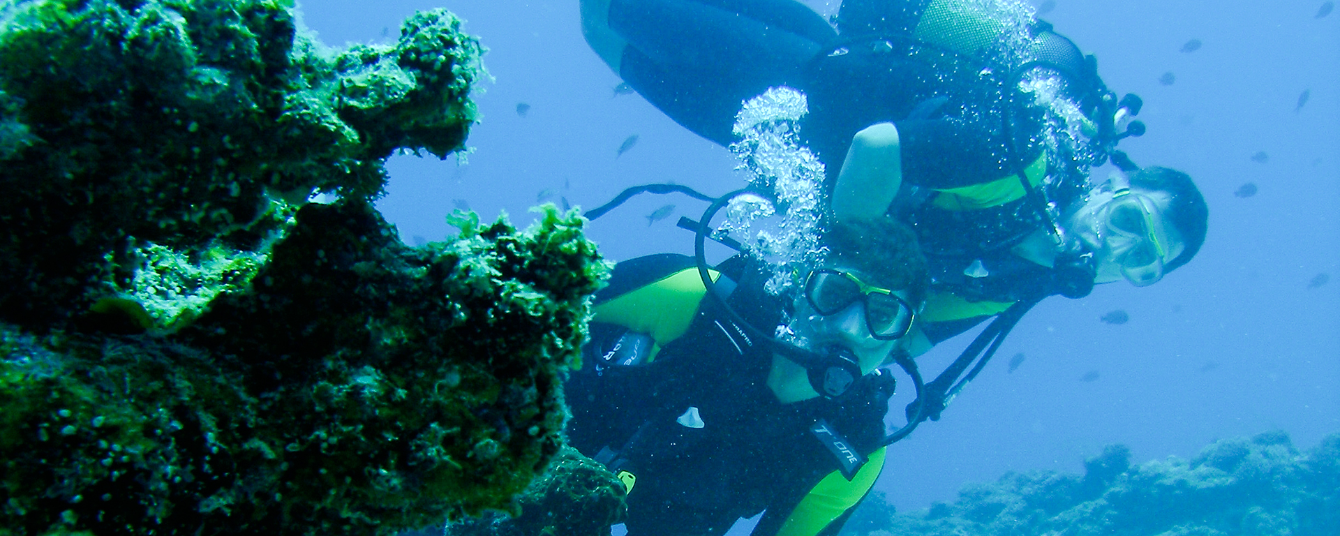 For superb diving choose the Seychelles or Mozambique's Quirimbas Archipelago.