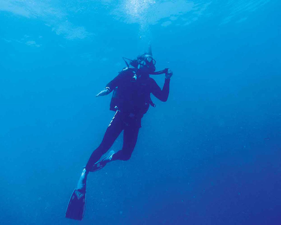Expect some of the best diving in the warm and clear Indian Ocean.
