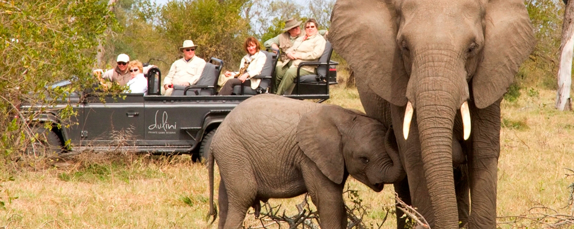 The Sabi Sands is well known for its excellent Big 5 sightings, like this a mother elephant & her adorable calf.