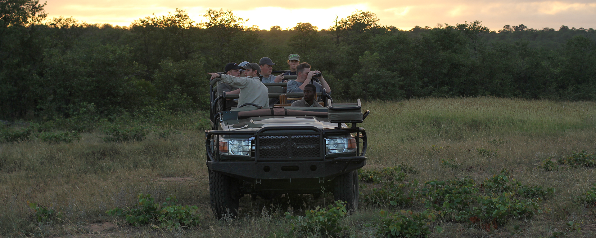 Guides at Ngala Safari Lodge use open game-drive vehicles and are helped by a professional tracker who is skilled in spotting wildlife by paying attention to everything from spoor and broken vegetation to droppings and bird calls.