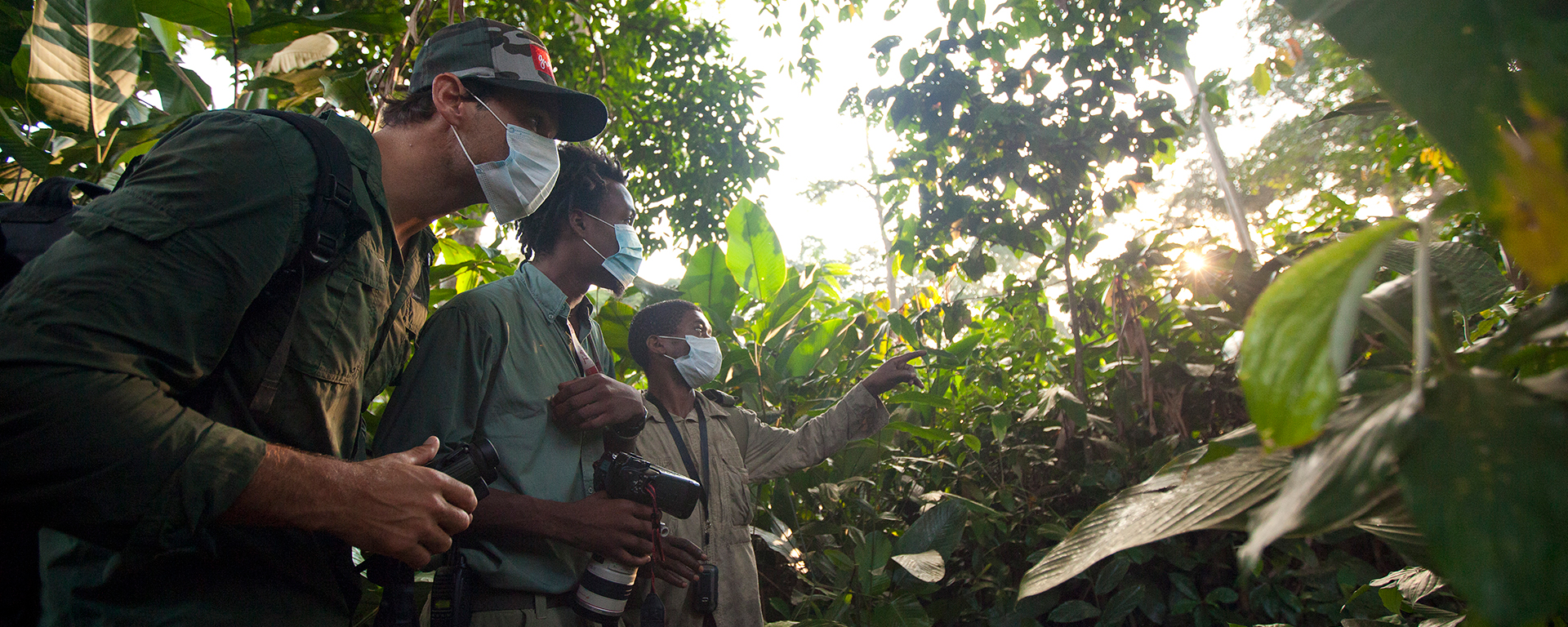 Dress in browns, greens and greys, and wear trousers and long-sleeved shirts. In some areas, your guide will hand out disposable masks as gorillas are susceptible to human diseases.