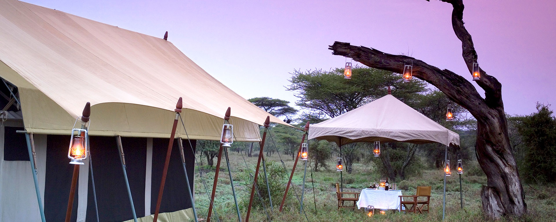 In a prime area of Tanzania, Serengeti Under Canvas takes you back to very comfortable basics with spacious tents, softs beds and en suite bathrooms.