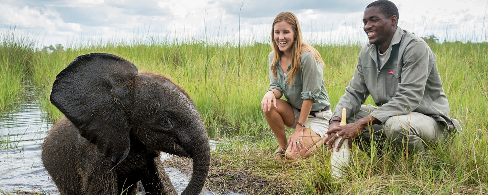 Ethical Animal Encounters