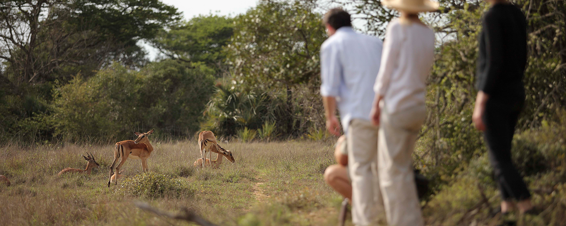 Phinda in kwaZulu-Natal combines perfectly with the sub-tropical coast of South Africa for the ultimate safari and beach holiday.