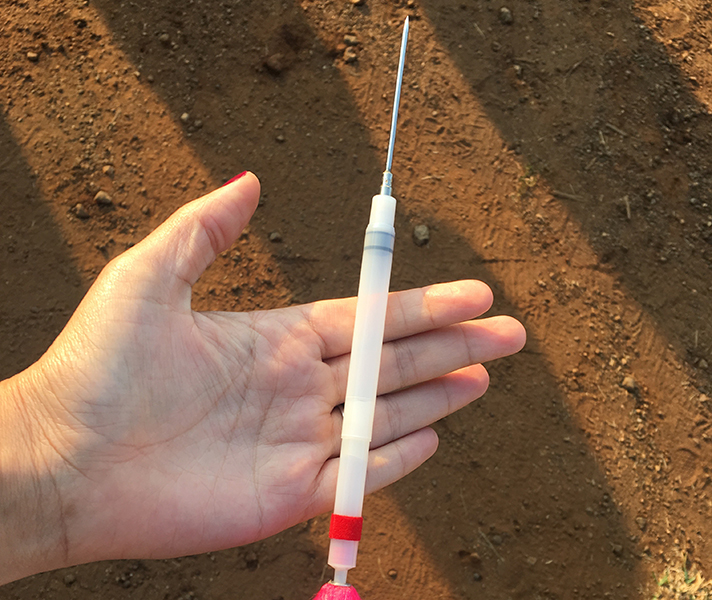 A 60mm / 2.5in needle is used in a twin-chamber dart system to immobilise the rhino.