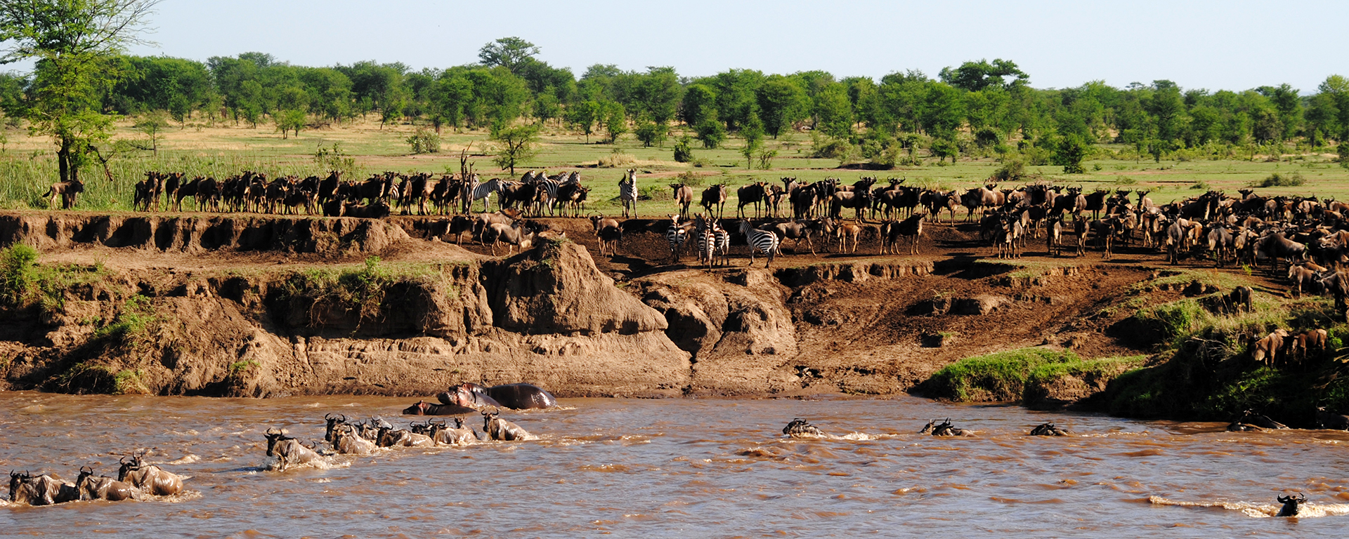 Lemala Kuria Hills Lodge is close to the Mara River - a superb location when the herds cross.