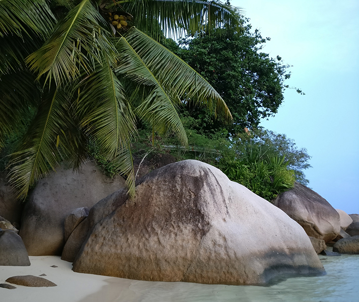 On Mahe Island we stayed at the beautiful Constance Ephelia Resort, where we had beach access right outside our room.