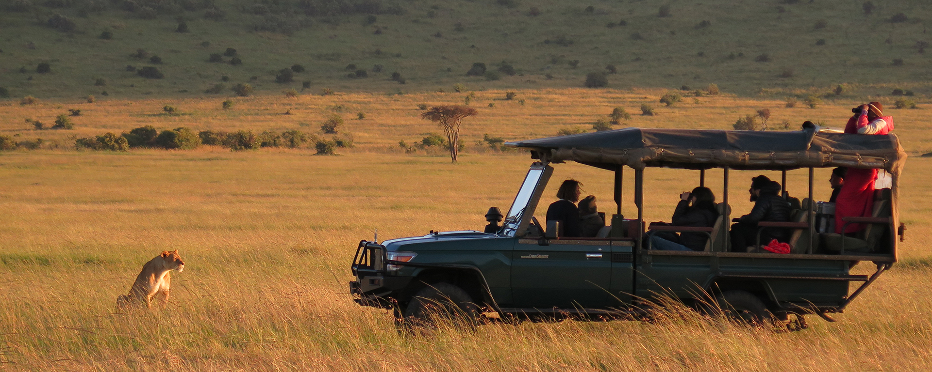 See the iconic golden plains of the Masai Mara in June.
