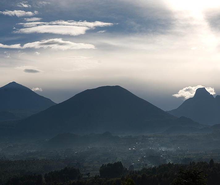 In Rwanda you can see mountain gorillas in the Volcanoes National Park.
