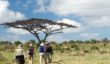 An armed guide takes a group of safari enthusiasts on a guided walk in the reserve.