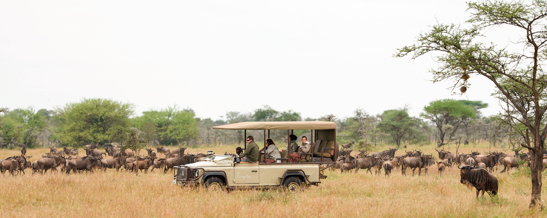 The Migration is in full swing in the Serengeti in July, with mega-herds making their way across Tanzania on their way to the Grumeti and Mara Rivers.