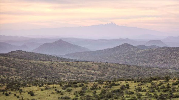 Ol Lentille Bushveld