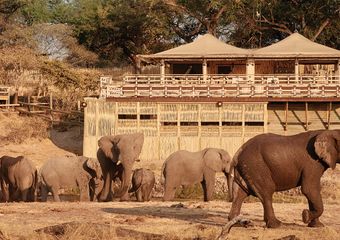 Belmond-Savute-Elephant-Lodge-banner