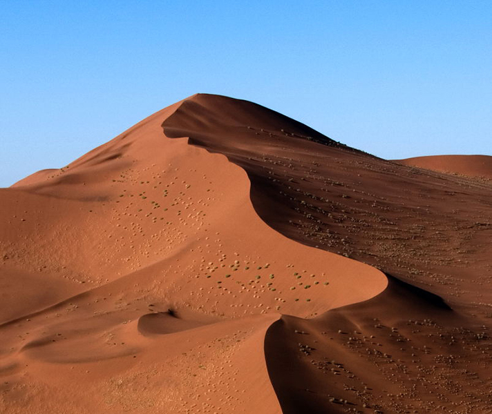 Giant dunes & desert elephants: Namibia is a country of spellbinding images.