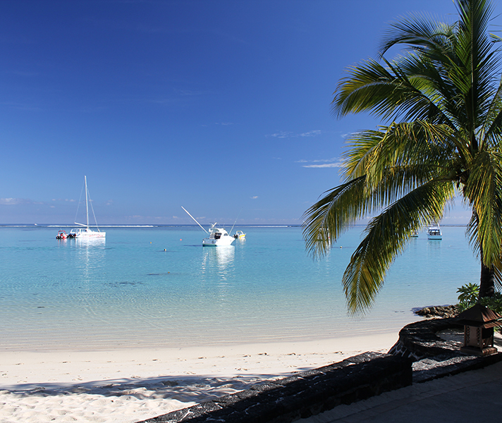 Beach bliss or bush bonanza? In August, you don't have to choose!