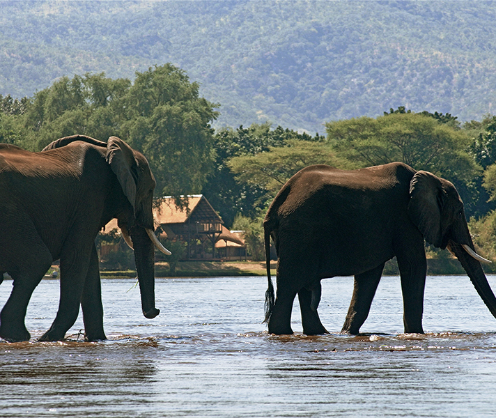 August means great weather across most of Southern Africa, whether you're keen on game viewing or adventure sports.