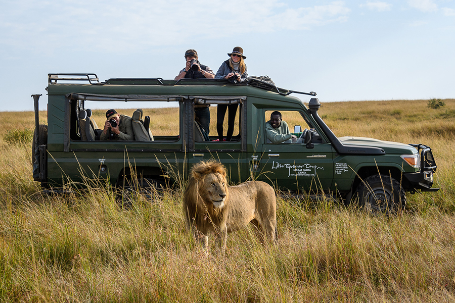 african lion safari vehicle