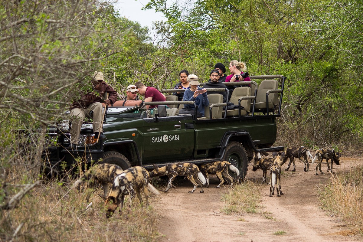 best time for sabi sands safari