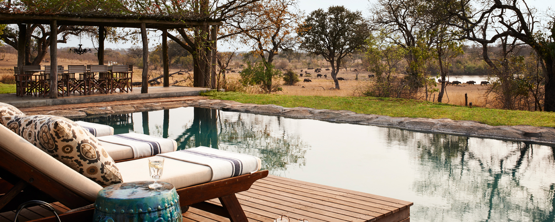A private swimming pool overlooking the bush awaits you and your family at Singita Castleton.