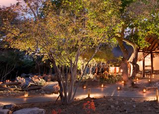 Ngala Safari Lodge banner