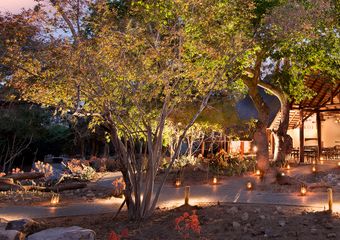 Ngala Safari Lodge banner