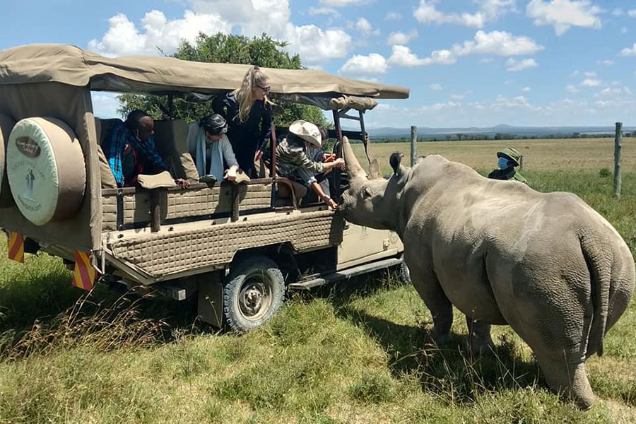 safari tours kenia