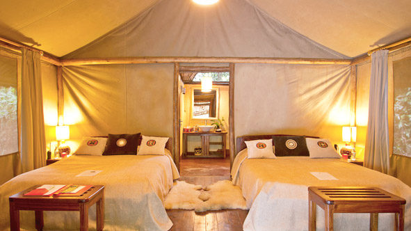 Gorilla Forest Camp