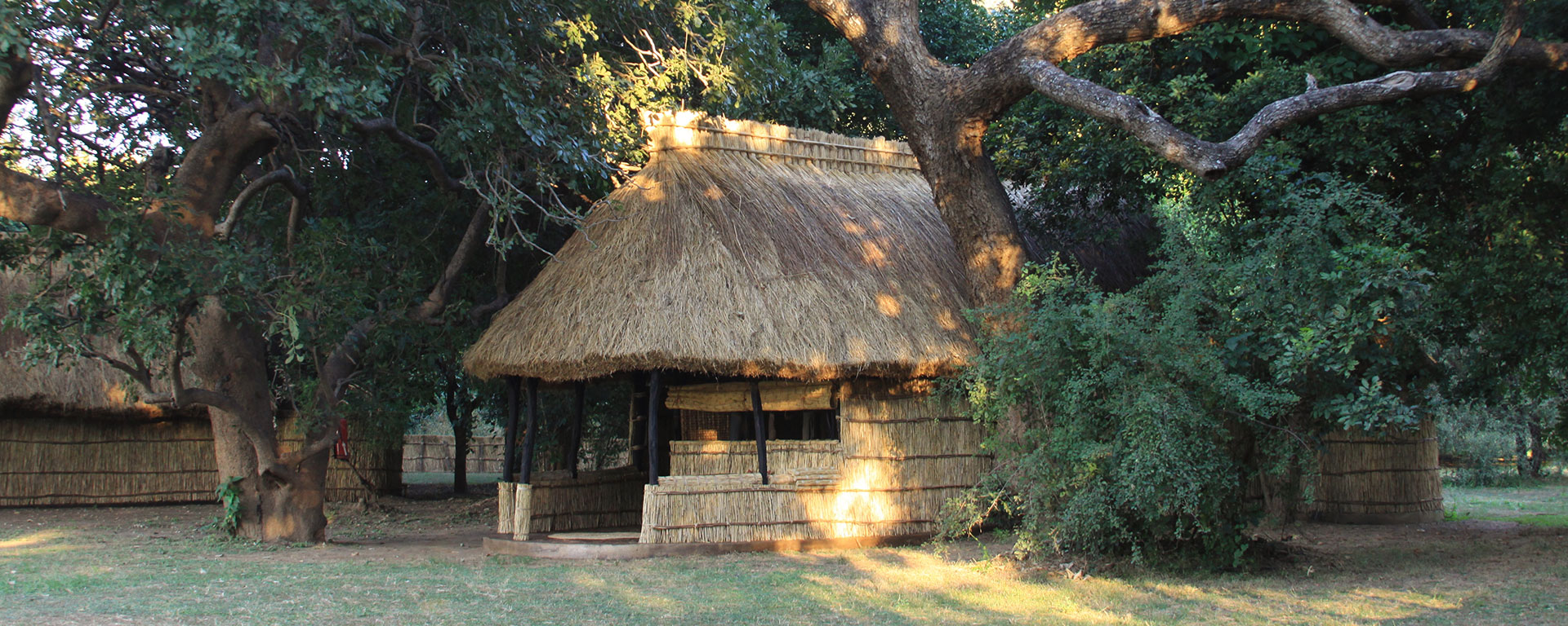 Tafika is laid out on the banks of the Luangwa, under the shade of massive old trees. Look out for vervet monkeys, owls and giant bush babies.