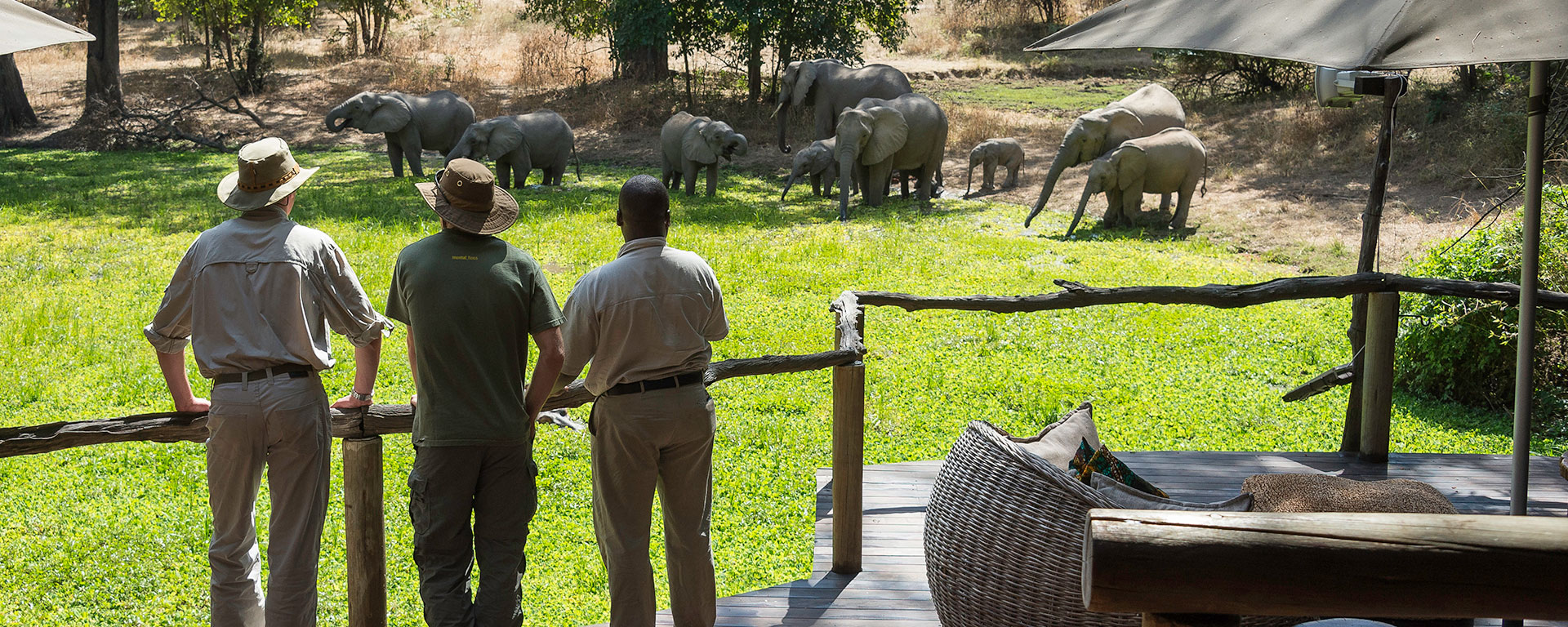 The deck at Bilimungwe looks out over a ‘dambo’ or small wetland – for several years, it has been the private getaway of a hippo named Harry, who even receives Christmas cards from delighted guests!