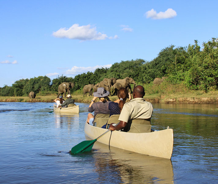 Watching ellies with the guides from Chiawa – a wonderful experience.