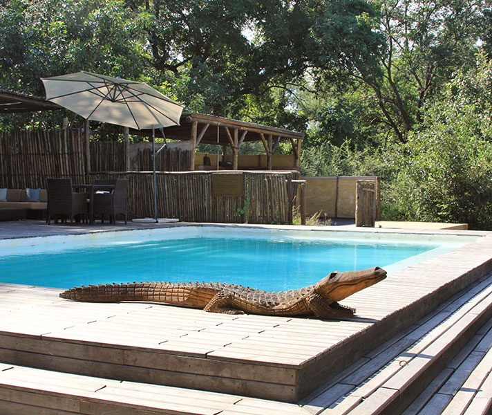 Don’t worry – it’s not a real crocodile that guards the swimming pool at Chiawa. The outdoor gym is next to the pool and both lie alongside the Zambezi River.