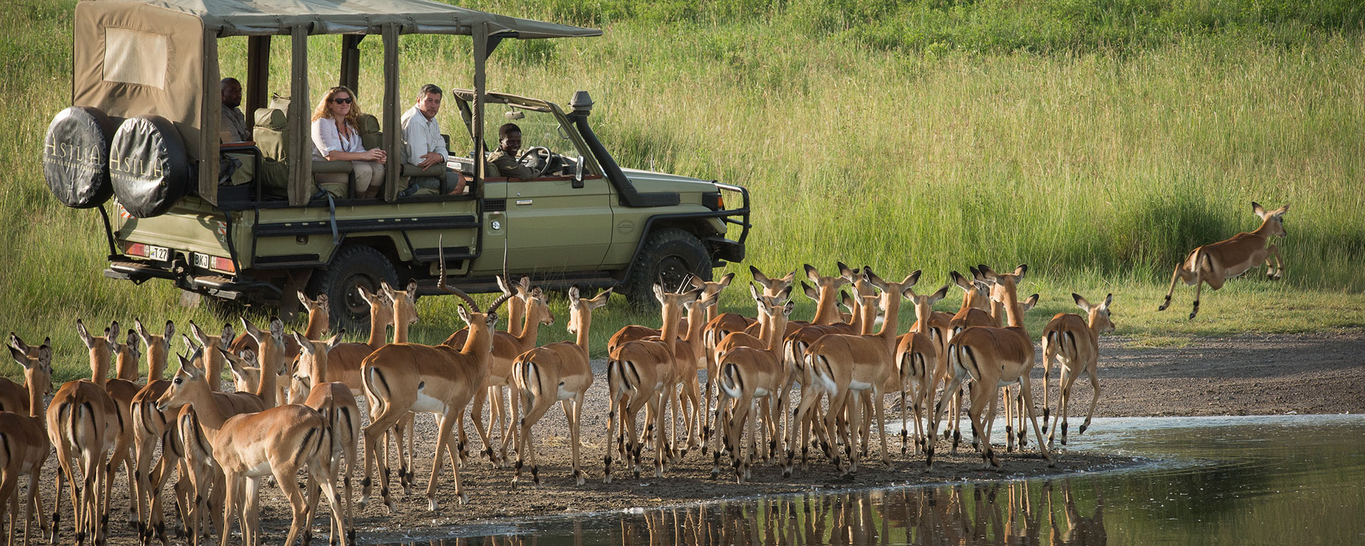 Let your guide know if you need to stop for a rest break on your game drive – he or she will understand and will find a safe spot for you.