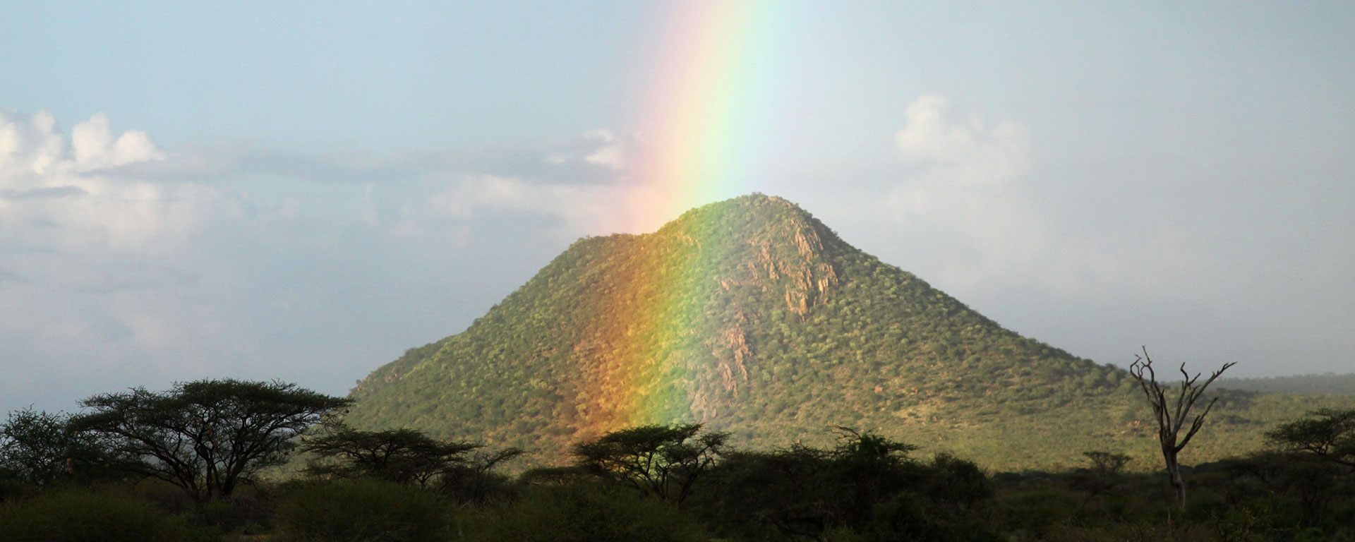November is Green Season in Samburu: brief afternoon showers mean clear, strong rainbows!