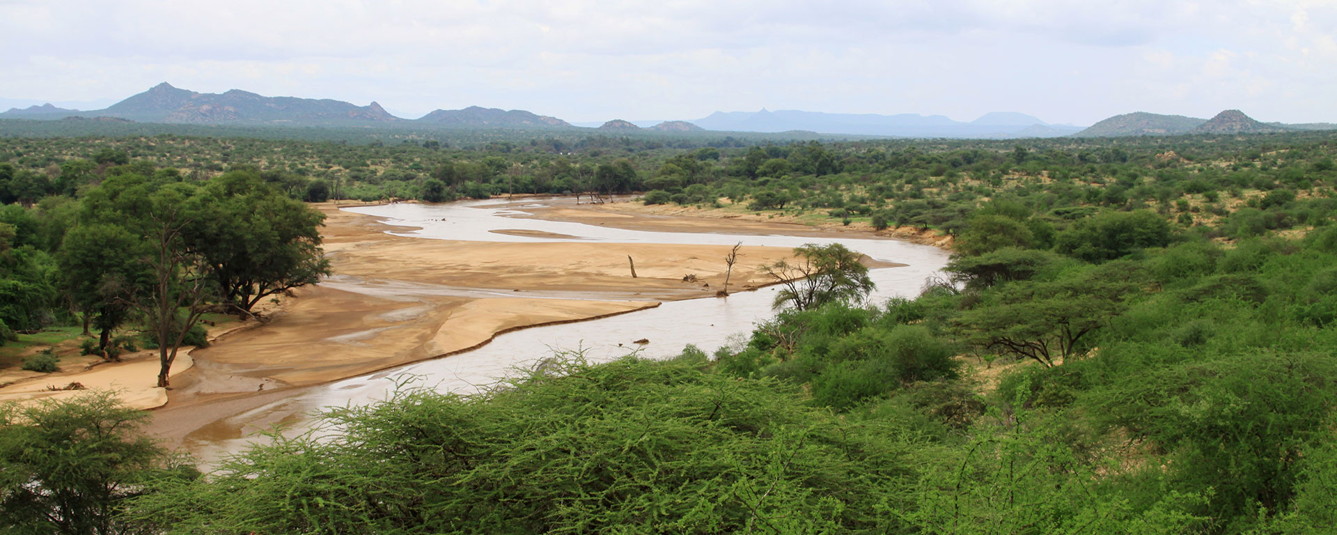The Ewaso Ngiro River in November. By the mid-year dry peak season, it will be a trickle and the vegetation brown, forcing game to stay close to it and making them easier to find.