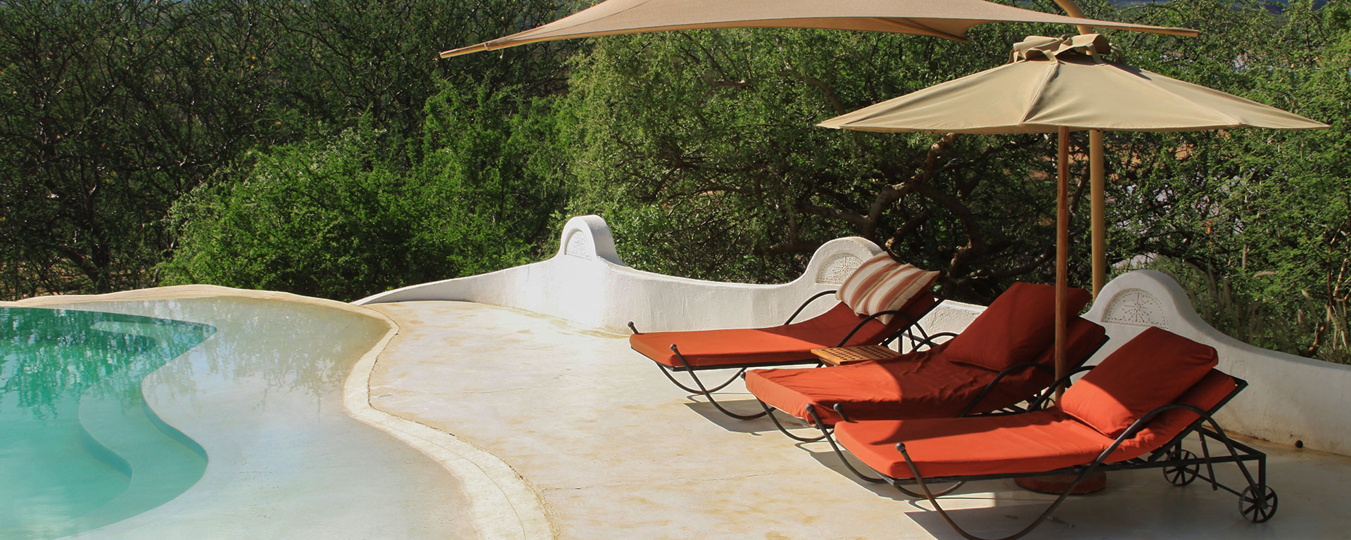 The pool at SaSaab is the perfect place to while away the hours between game drives.