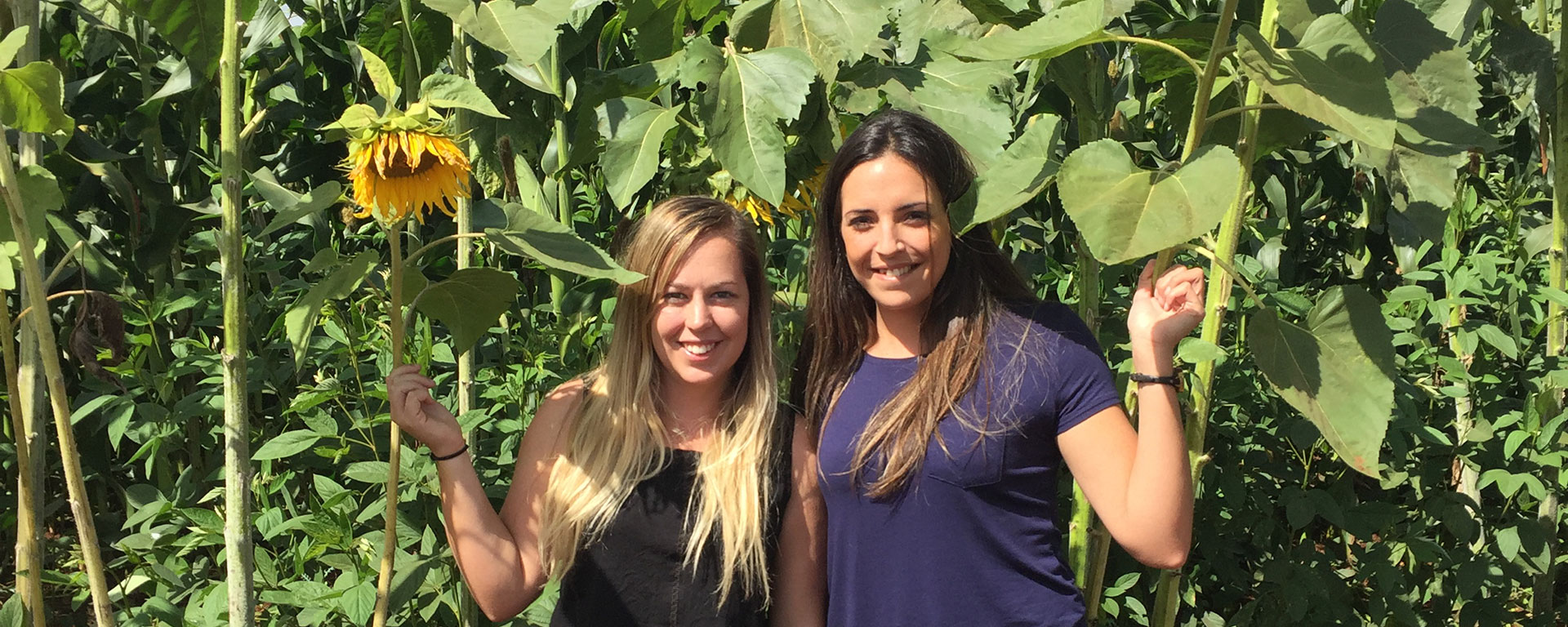 Karatu is an interesting town just 10 minutes from the Crater gate. My colleague Kelly and I took a moment to capture the area’s sunflower plantations.