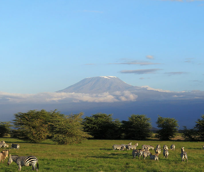 Amboseli National Park offers great game viewing and is the place to go for the best views of iconic Mount Kilimanjaro.